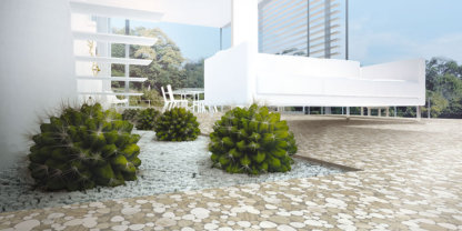 Marble Apolo Emperador